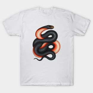 Red-bellied Black Snake T-Shirt